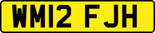 WM12FJH