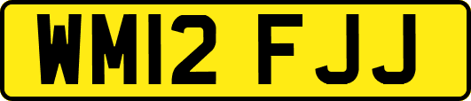 WM12FJJ