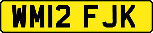 WM12FJK