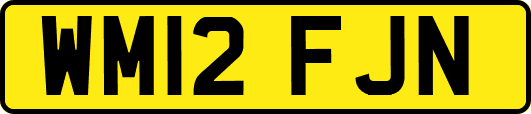 WM12FJN
