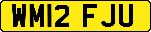 WM12FJU