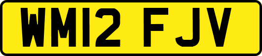 WM12FJV