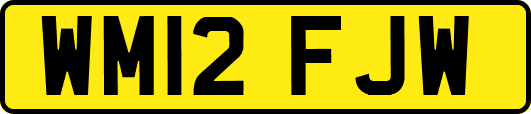 WM12FJW