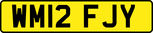 WM12FJY
