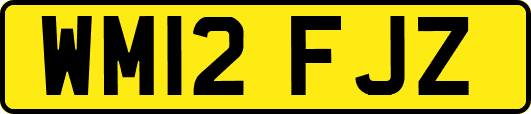 WM12FJZ