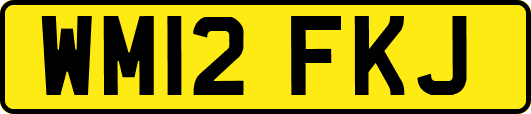 WM12FKJ