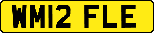 WM12FLE