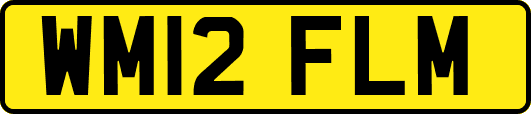 WM12FLM