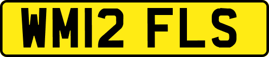 WM12FLS