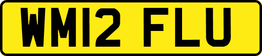 WM12FLU
