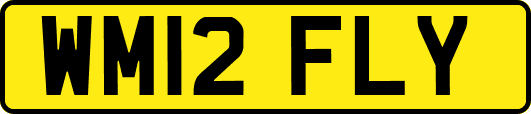 WM12FLY