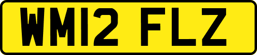 WM12FLZ