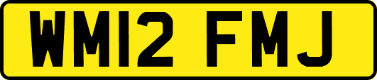 WM12FMJ