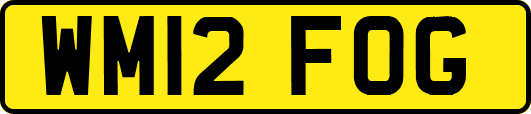 WM12FOG