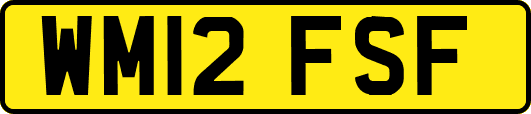 WM12FSF