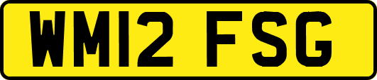 WM12FSG