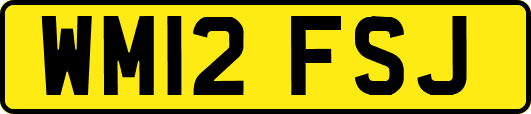WM12FSJ