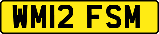 WM12FSM