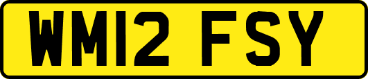 WM12FSY