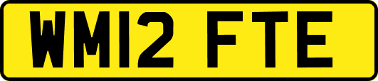 WM12FTE