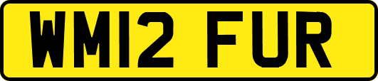 WM12FUR