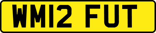 WM12FUT