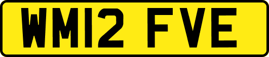 WM12FVE