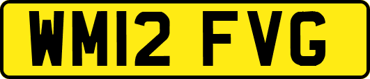 WM12FVG