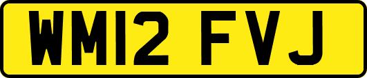 WM12FVJ