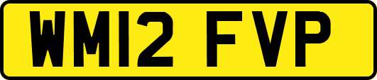 WM12FVP