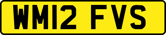 WM12FVS