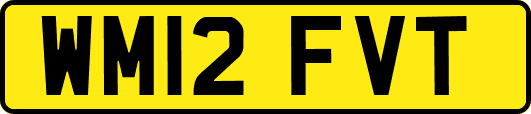 WM12FVT
