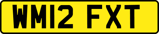 WM12FXT