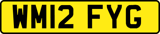 WM12FYG