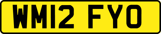 WM12FYO