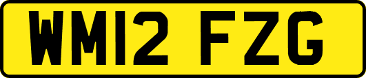 WM12FZG