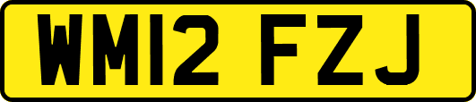 WM12FZJ