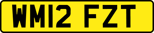 WM12FZT