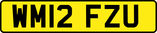 WM12FZU