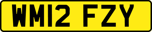 WM12FZY