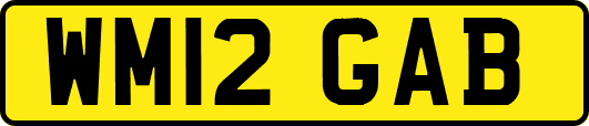 WM12GAB