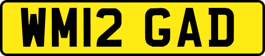 WM12GAD