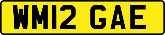 WM12GAE