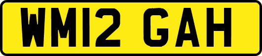 WM12GAH