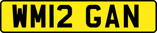 WM12GAN