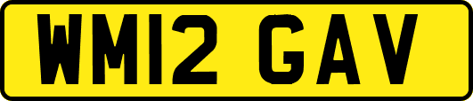WM12GAV