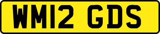 WM12GDS