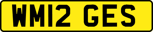 WM12GES