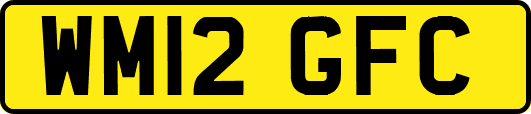 WM12GFC