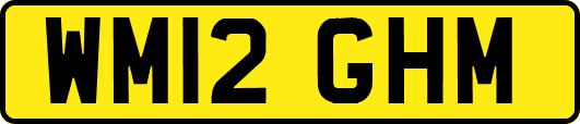 WM12GHM